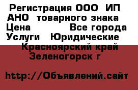 Регистрация ООО, ИП, АНО, товарного знака › Цена ­ 5 000 - Все города Услуги » Юридические   . Красноярский край,Зеленогорск г.